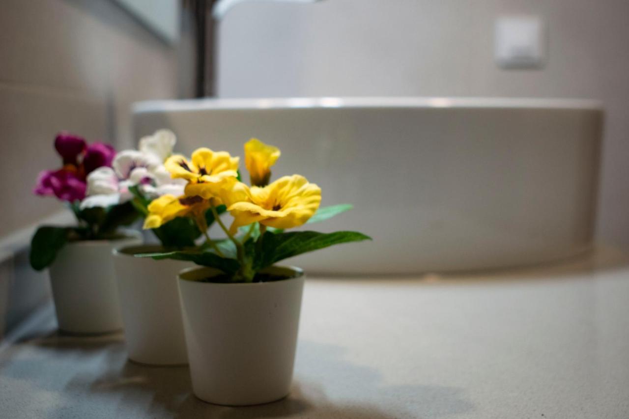 Apartmán Estudio De Tiedra Cuenca  Exteriér fotografie